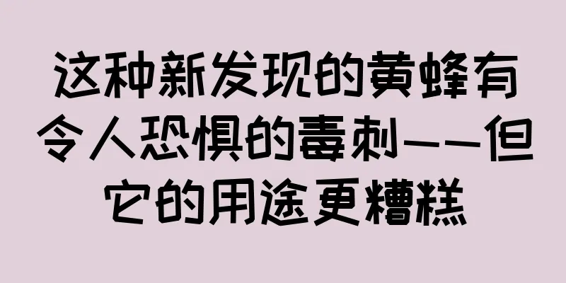 这种新发现的黄蜂有令人恐惧的毒刺——但它的用途更糟糕