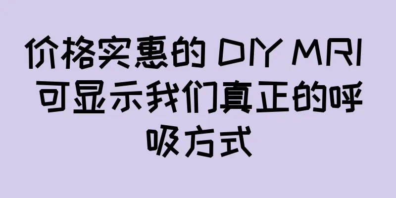 价格实惠的 DIY MRI 可显示我们真正的呼吸方式