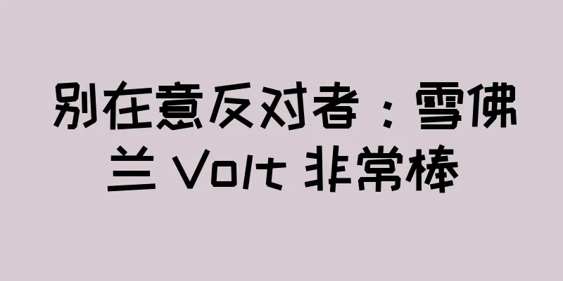 别在意反对者：雪佛兰 Volt 非常棒