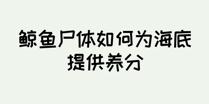 鲸鱼尸体如何为海底提供养分