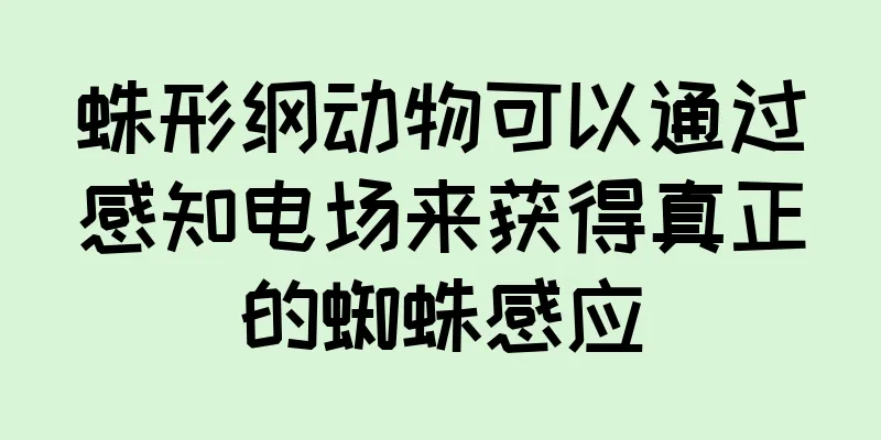 蛛形纲动物可以通过感知电场来获得真正的蜘蛛感应