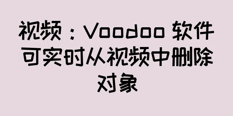 视频：Voodoo 软件可实时从视频中删除对象