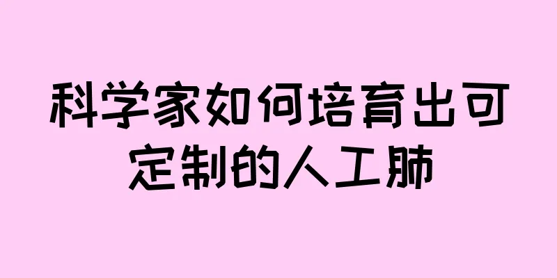 科学家如何培育出可定制的人工肺