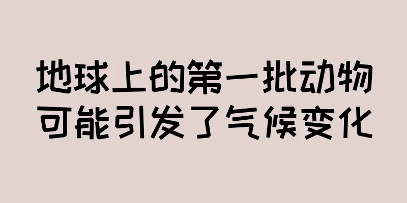 地球上的第一批动物可能引发了气候变化