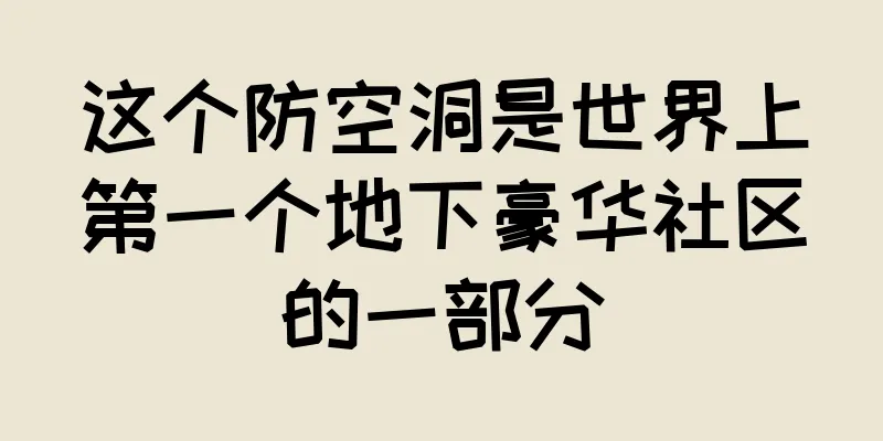 这个防空洞是世界上第一个地下豪华社区的一部分