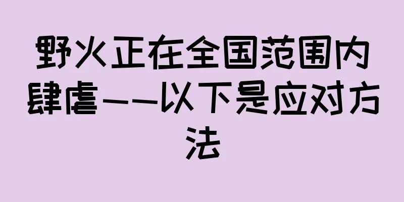 野火正在全国范围内肆虐——以下是应对方法