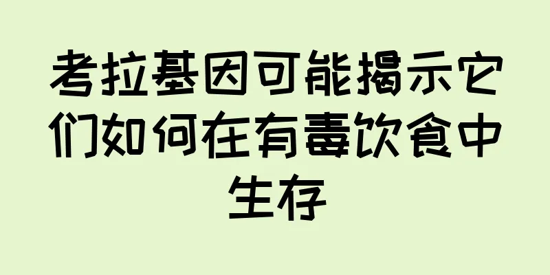 考拉基因可能揭示它们如何在有毒饮食中生存
