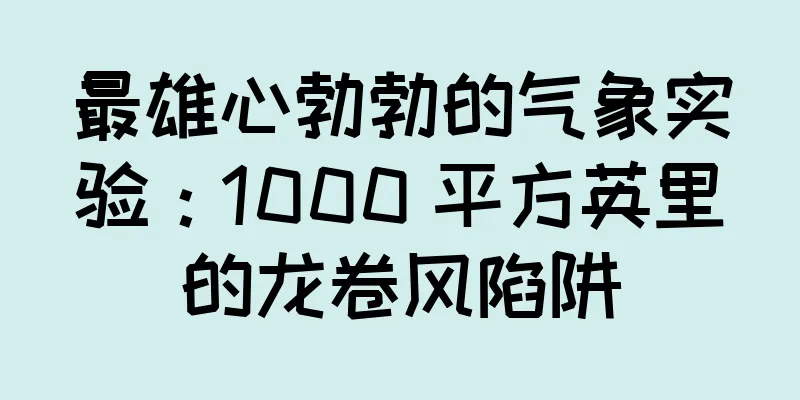 最雄心勃勃的气象实验：1000 平方英里的龙卷风陷阱