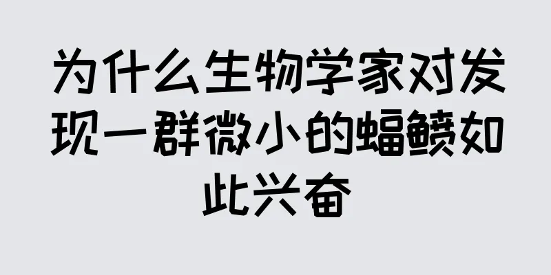 为什么生物学家对发现一群微小的蝠鲼如此兴奋