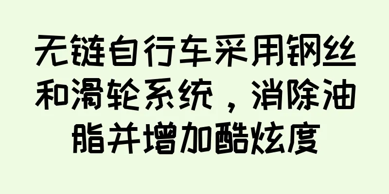 无链自行车采用钢丝和滑轮系统，消除油脂并增加酷炫度