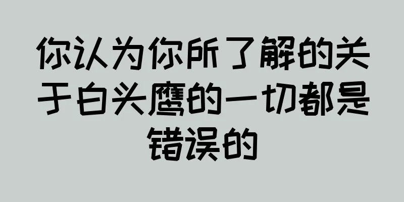 你认为你所了解的关于白头鹰的一切都是错误的