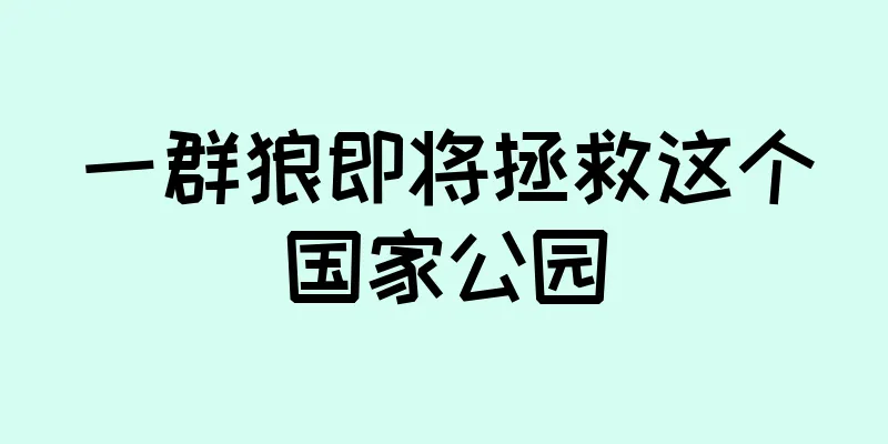 一群狼即将拯救这个国家公园