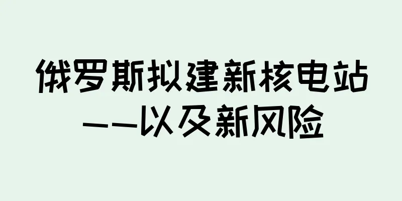 俄罗斯拟建新核电站——以及新风险