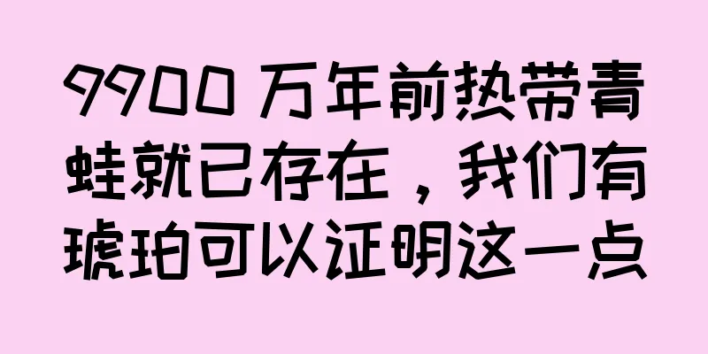 9900 万年前热带青蛙就已存在，我们有琥珀可以证明这一点