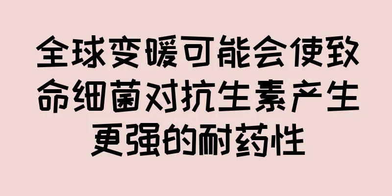 全球变暖可能会使致命细菌对抗生素产生更强的耐药性