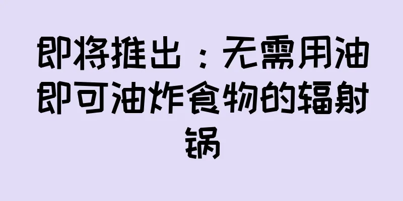 即将推出：无需用油即可油炸食物的辐射锅