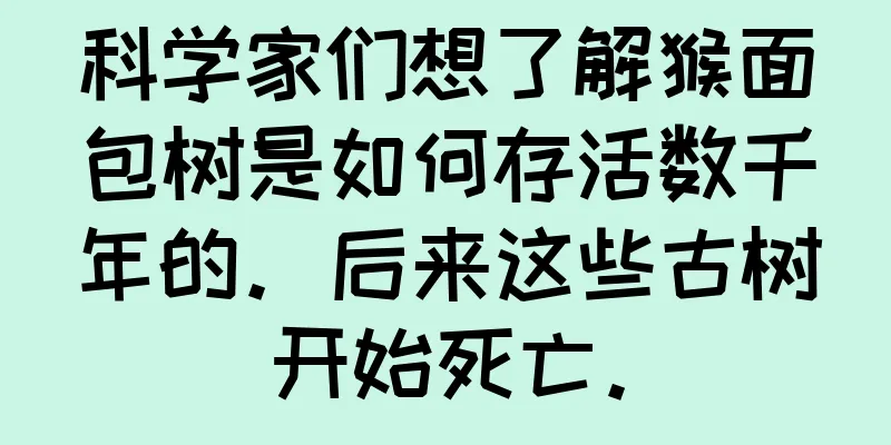 科学家们想了解猴面包树是如何存活数千年的。后来这些古树开始死亡。
