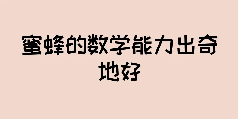 蜜蜂的数学能力出奇地好