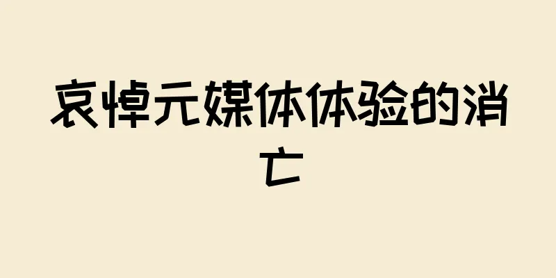 哀悼元媒体体验的消亡
