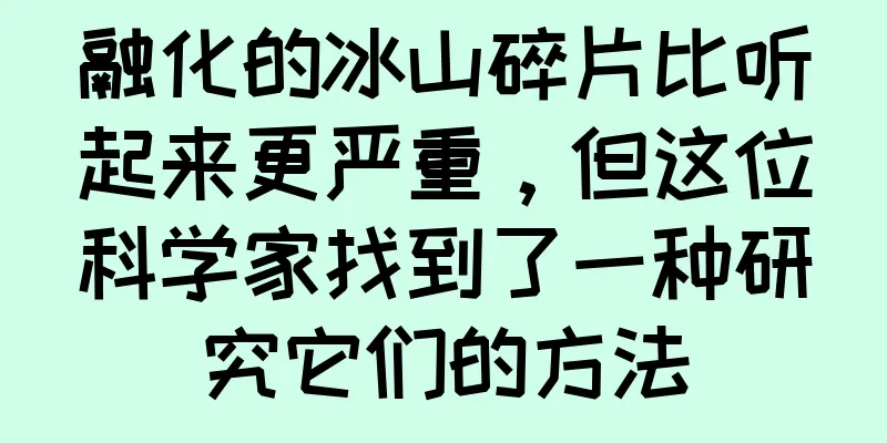 融化的冰山碎片比听起来更严重，但这位科学家找到了一种研究它们的方法