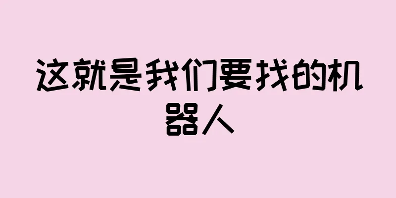 这就是我们要找的机器人