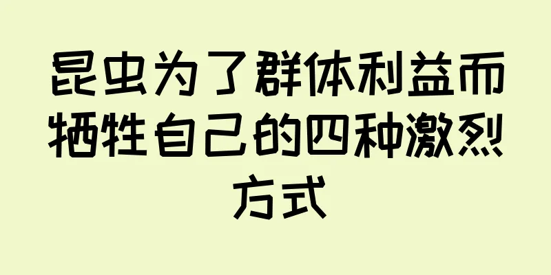 昆虫为了群体利益而牺牲自己的四种激烈方式
