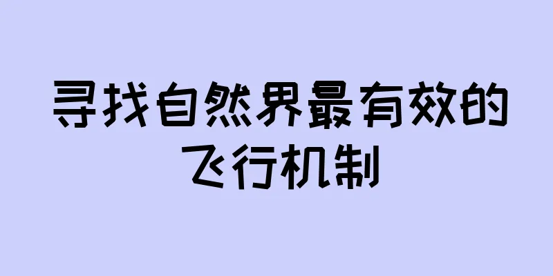 寻找自然界最有效的飞行机制