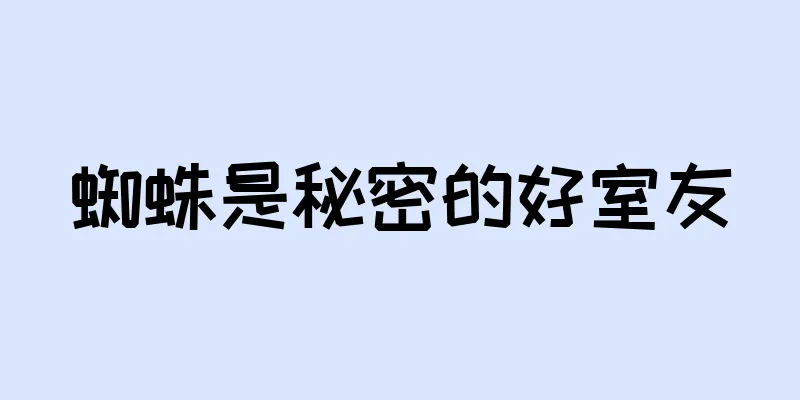 蜘蛛是秘密的好室友