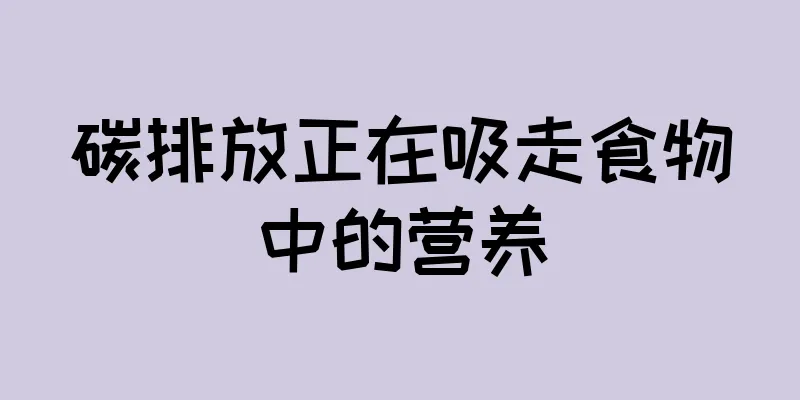 碳排放正在吸走食物中的营养