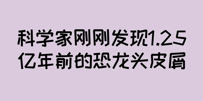 科学家刚刚发现1.25亿年前的恐龙头皮屑