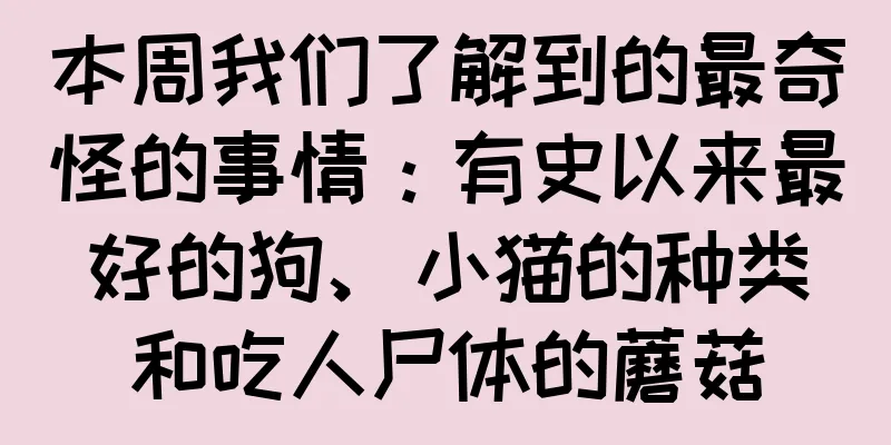 本周我们了解到的最奇怪的事情：有史以来最好的狗、小猫的种类和吃人尸体的蘑菇