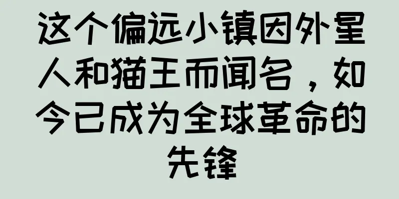 这个偏远小镇因外星人和猫王而闻名，如今已成为全球革命的先锋