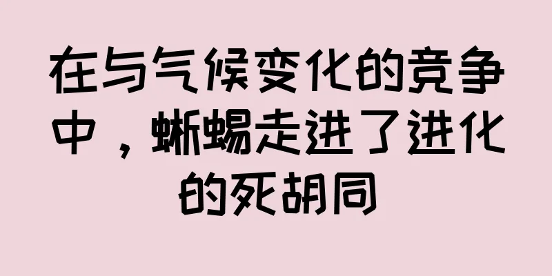 在与气候变化的竞争中，蜥蜴走进了进化的死胡同