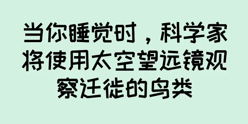 当你睡觉时，科学家将使用太空望远镜观察迁徙的鸟类