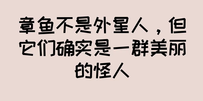 章鱼不是外星人，但它们确实是一群美丽的怪人
