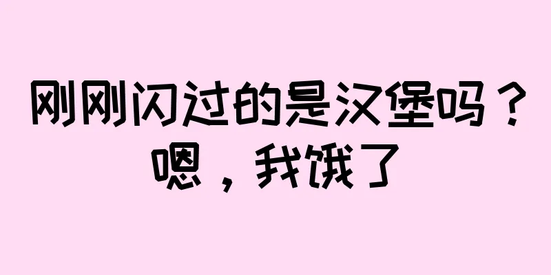 刚刚闪过的是汉堡吗？嗯，我饿了