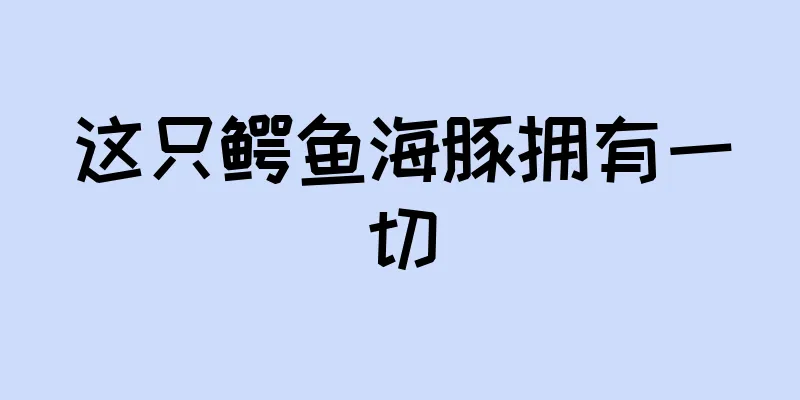 这只鳄鱼海豚拥有一切