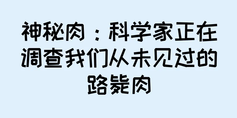 神秘肉：科学家正在调查我们从未见过的路毙肉