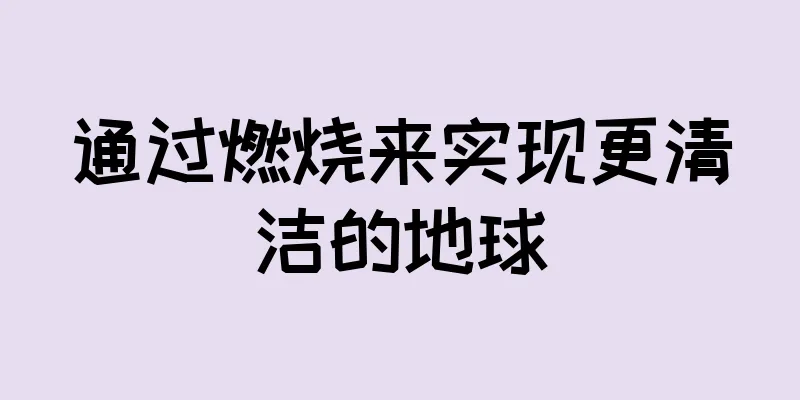 通过燃烧来实现更清洁的地球