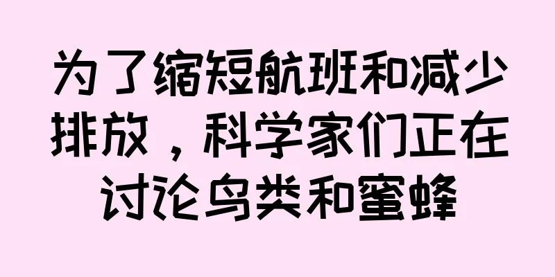 为了缩短航班和减少排放，科学家们正在讨论鸟类和蜜蜂
