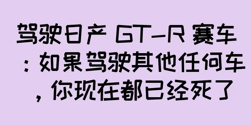 驾驶日产 GT-R 赛车：如果驾驶其他任何车，你现在都已经死了