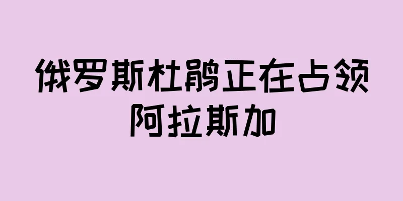 俄罗斯杜鹃正在占领阿拉斯加