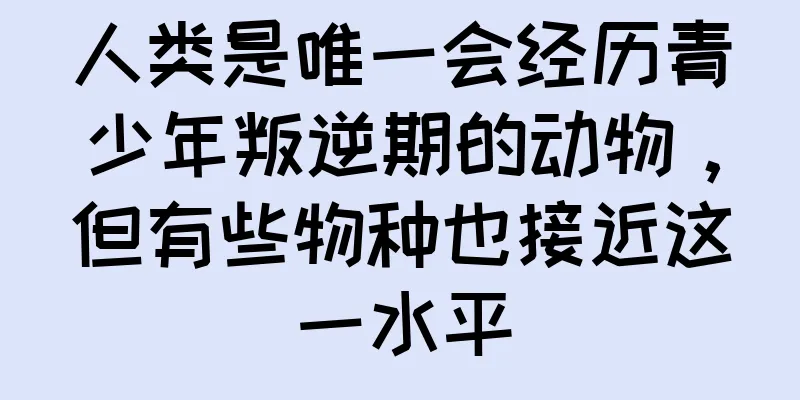 人类是唯一会经历青少年叛逆期的动物，但有些物种也接近这一水平
