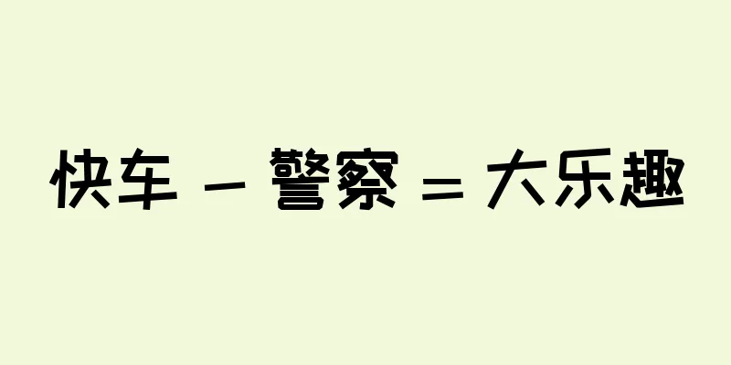 快车 - 警察 = 大乐趣