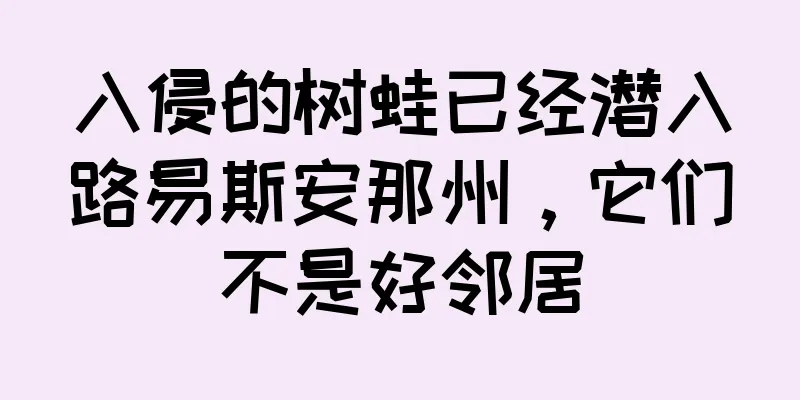 入侵的树蛙已经潜入路易斯安那州，它们不是好邻居