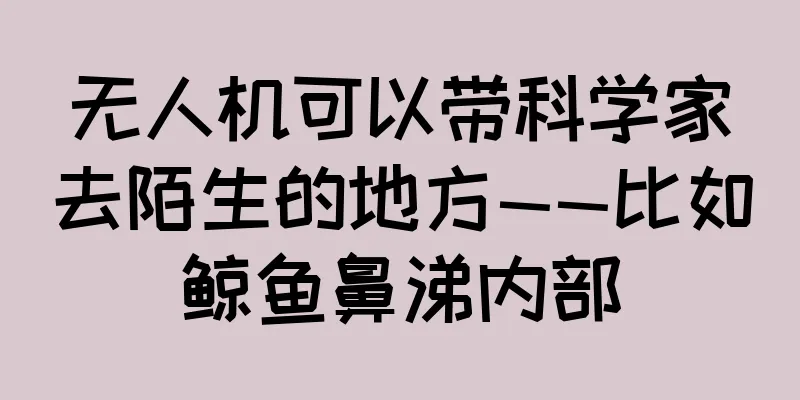 无人机可以带科学家去陌生的地方——比如鲸鱼鼻涕内部