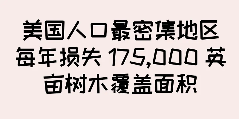 美国人口最密集地区每年损失 175,000 英亩树木覆盖面积