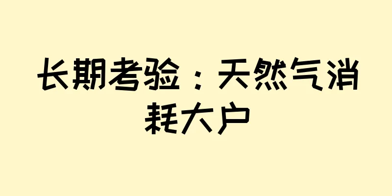 长期考验：天然气消耗大户