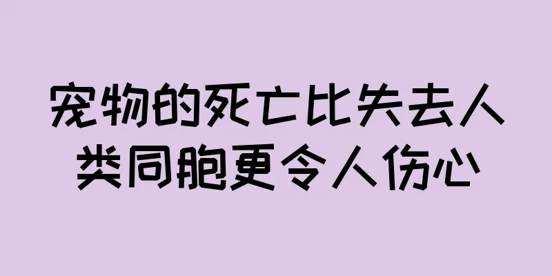 宠物的死亡比失去人类同胞更令人伤心