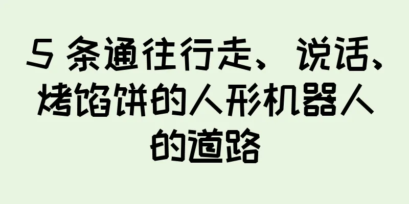 5 条通往行走、说话、烤馅饼的人形机器人的道路